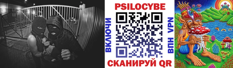 Галлюциногенные грибы MAGIC MUSHROOMS  Бодайбо 